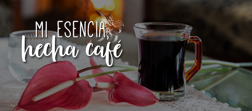 quienes-somos-cafe-organico-artesanal-de