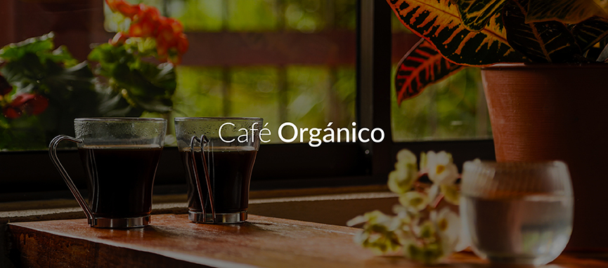 quienes-somos-cafe-organico-artesanal-de