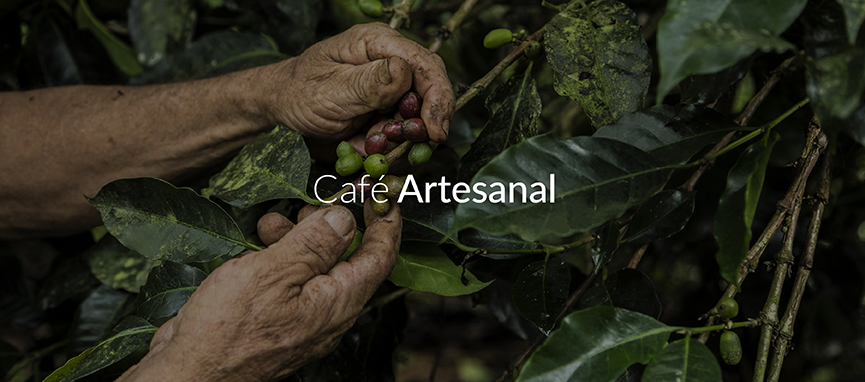 quienes-somos-cafe-organico-artesanal-de